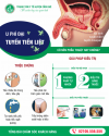 ĐIỀU TRỊ U PHÌ ĐẠI TUYẾN TIỀN LIỆT - NÂNG CAO CHẤT LƯỢNG CUỘC SỐNG CHO ĐÀN ÔNG LỚN TUỔI