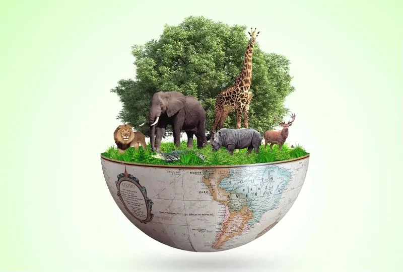 Hãy là một phần của Kế hoạch đa dạng sinh học
